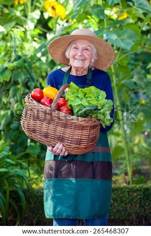 Portrait of a Senior Woman in Gardening Outfit with Basket of Healthy Fresh Vegetables at the Garden While Smiling at the Camera