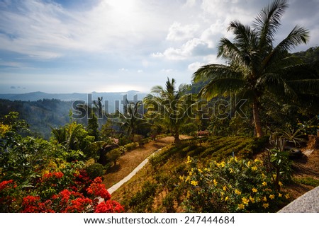 Palm tree landscape, flowers, mountains to Thailand Samui