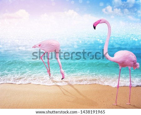 Similar – Image, Stock Photo Lovely seascape of Pink Beach in Ecuador