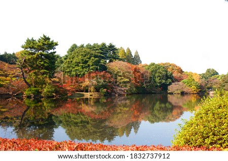 Autumn garden and lake with empty sky 