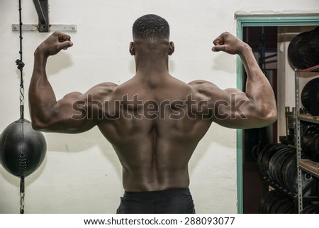 Back of hunky black male bodybuilder doing bodybuilding pose in gym