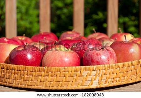 Tray with apples on rustic wooden bench outdoor on sunny day. selective focus, shallow dof