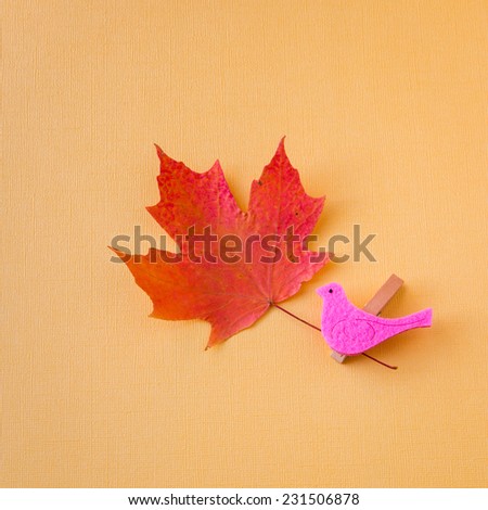 Autumn red maple leaf and pink felt bird clip on yellow  textured paper