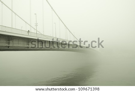 Similar – Image, Stock Photo foggy bridge with lamp arches