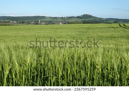 Similar – Image, Stock Photo Grain field at Otzberg