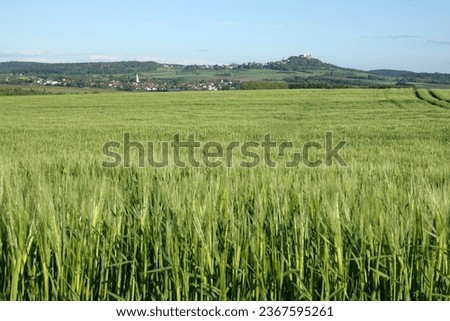 Image, Stock Photo Grain field at Otzberg