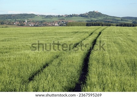 Similar – Image, Stock Photo Grain field at Otzberg