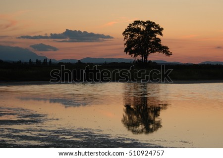 Evening at a lake in Austria Stock foto © 