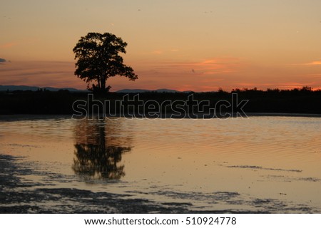Evening at a lake in Austria Stock foto © 