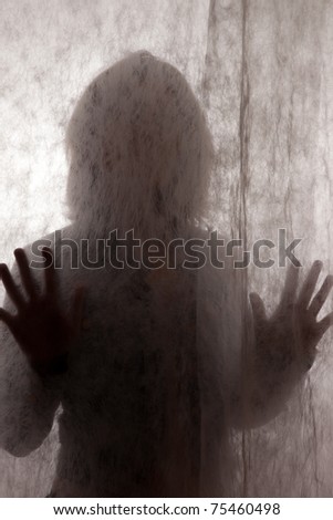 Woman\'s silhouette behind a vail
