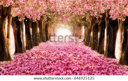 Romantic Tunnel