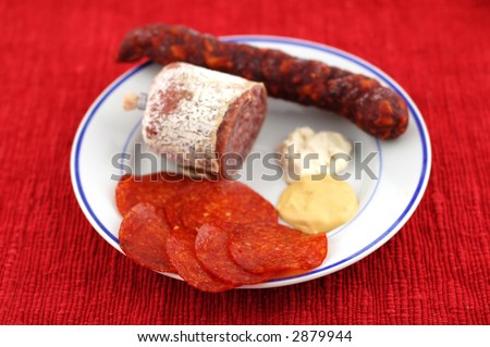 Unhealthy fat food on plate on red background.