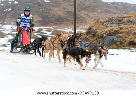 CANDANCHU, SPAIN - JANUARY 22: Gregor Burzinsky drives his dogs in the competition of the Pirena Advance grand prix 2012 at Candanchu sky station. January 22, 2012 in Huesca, Spain.