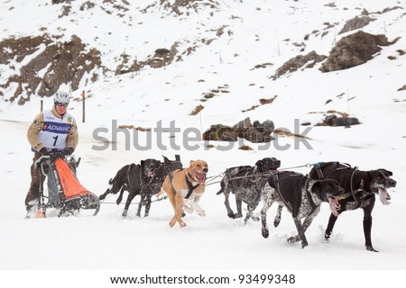 CANDANCHU, SPAIN - JANUARY 22: Tom Andres drives his dogs in the competition of the Pirena Advance grand prix 2012 at Candanchu sky station. January 22, 2012 in Huesca, Spain.