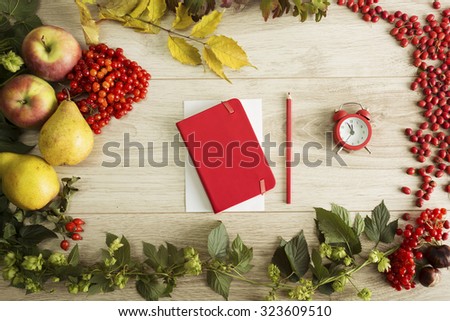 Fruits, berries and the notebook on the autumn background