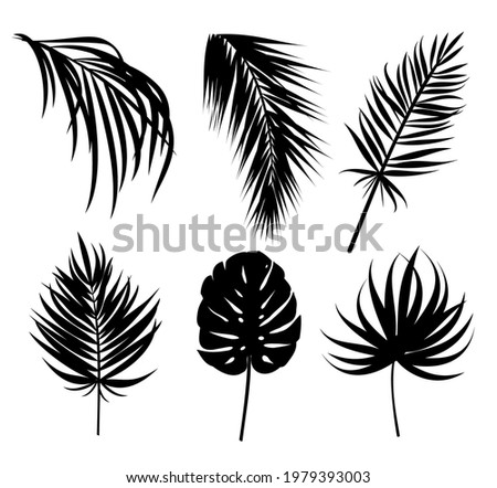 Pam tree and exotic leaves black shapes vector set