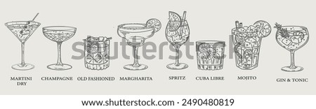 Beautiful hand drawn collection of drinks and cocktails - vector illustration