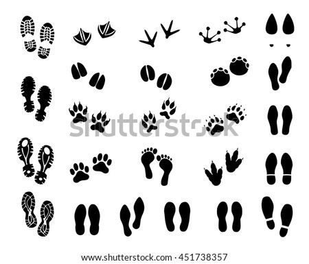 Footprint Set Vector - 451738357 : Shutterstock