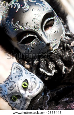 A cat costume at the Venice Carnival. Focus on the model cat in the foreground