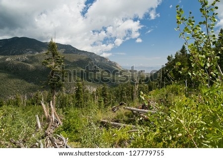 Mt charleston avalanche path in the summer looking to the desert in the valley below