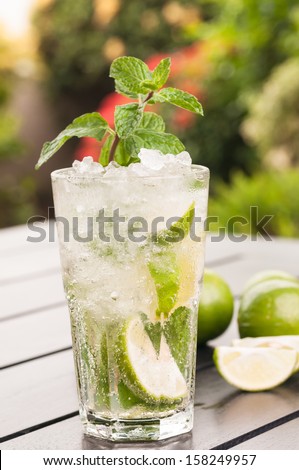 Mojito cocktail in the garden close up
