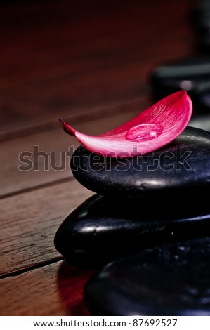 Red plumeria flower petal on zen stone with a single water drop