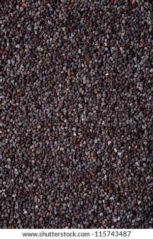 poppy seed background, color grain food texture