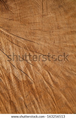brown wooden background or wood ring pattern texture