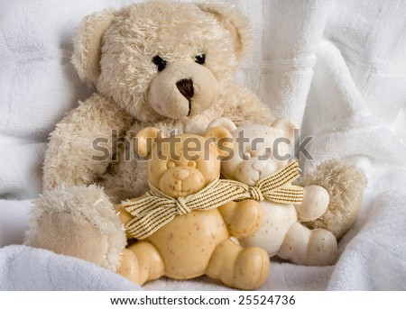 Soft toy the bear and soap bears on a white background