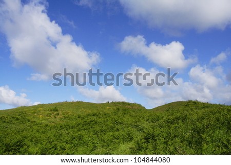 Green land under a deep blue sky