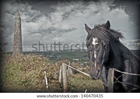 Irish horse and ancient round tower in the beautiful Ardmore countryside of county Waterford Ireland