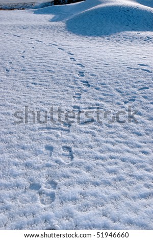 snow covered links golf course in ireland in winter with footprints
