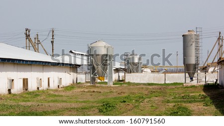 Chicken farm with four grain storage silos for the storage of poultry feed