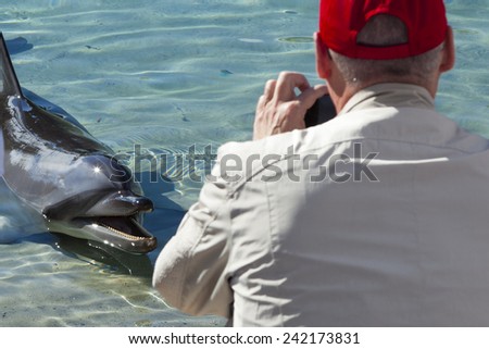 Man photographing dolphin in captivity