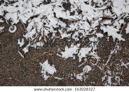 Leaves on the ground cover by snow in winter,Finland