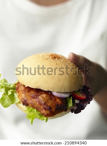 Hand holding chicken burger