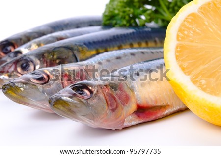 Cooking ingredient series    sardine. for adv etc. of restaurant,grocery,and others.