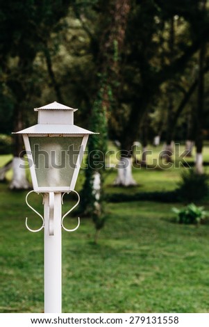 Vintage-looking, worn lamppost in front of bucolic forest, Monte Verde, Minas Gerais, Brazil