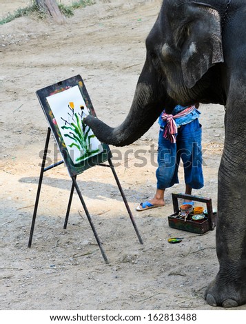 CHIANG MAI, THAILAND- JANUARY 19: Elephants show at Maesa Elephant Camp on January 19, 2013 in Chiang Mai, Thailand.
