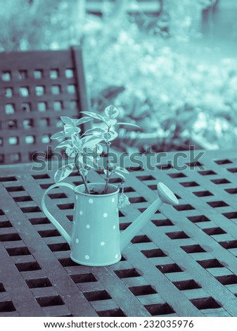 Green plant in watering can on wooden table