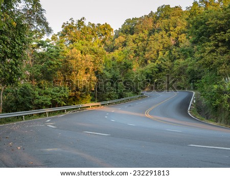 Green forest curve road