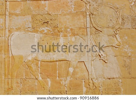 Relief of Hathor as a cow on wall in Hatshepsut temple, Egypt