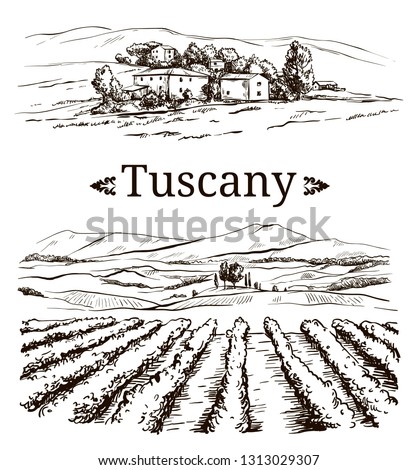 landscape drawing of the Italian province of Tuscany with the inscription Foto d'archivio © 