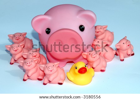 Family with pig parent and piglets and one different duck