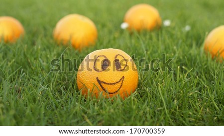 A smiling orange in the park