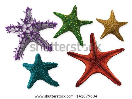 Full spectrum of starfish isolated on a white background