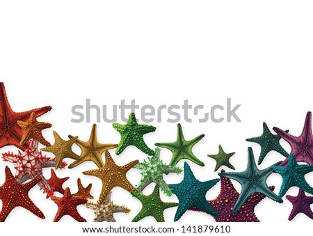 Full spectrum of starfish isolated on a white background in a half page layout