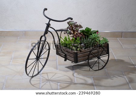 Decorative bicycle with a basket for colours