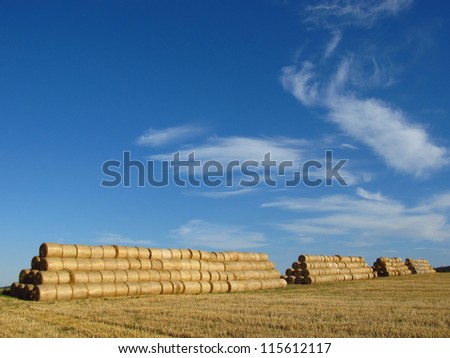 Hay packed into big rolls and arranged into piles