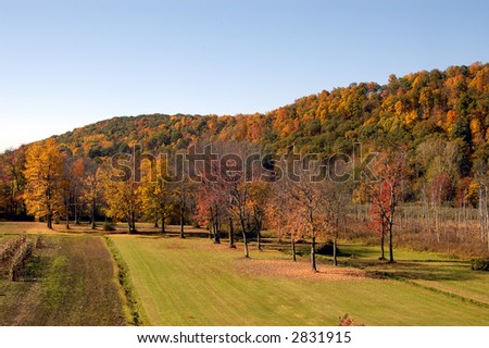 A picturesque Landscape during autumn season